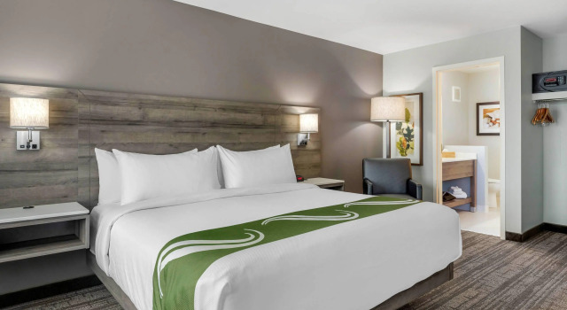 Двухместный люкс Quality Inn & Suites Amsterdam