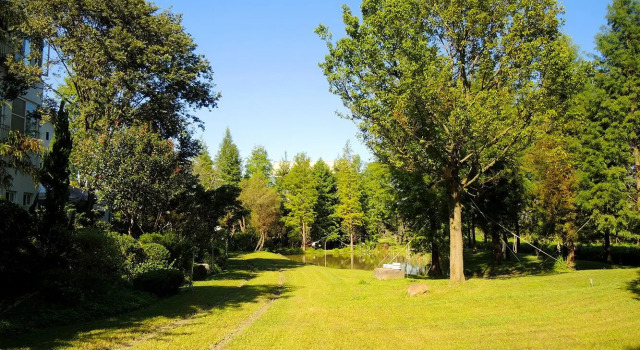 Full blossoms Garden House, Book Hotel Hotels in Puli with Breakfast, Breakfasts