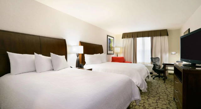 Четырёхместный номер Standard Hilton Garden Inn Auburn