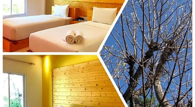 Двухместный номер Standard Arcadia Resort