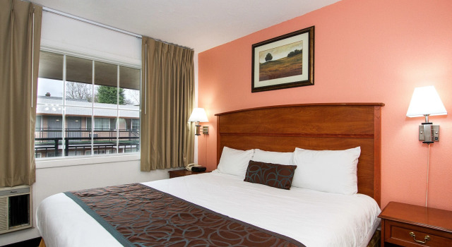The Palms Motel