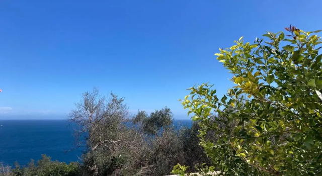 Полулюкс Puerto Escondido