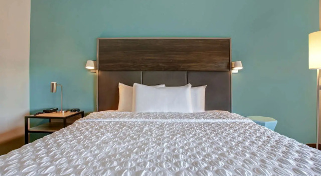 Номер Standard Tru By Hilton Grand Prairie