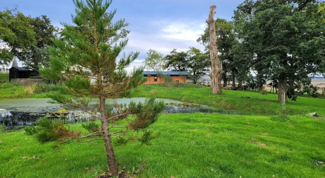 Номер Standard Cosy wood cabin in rural area near national park