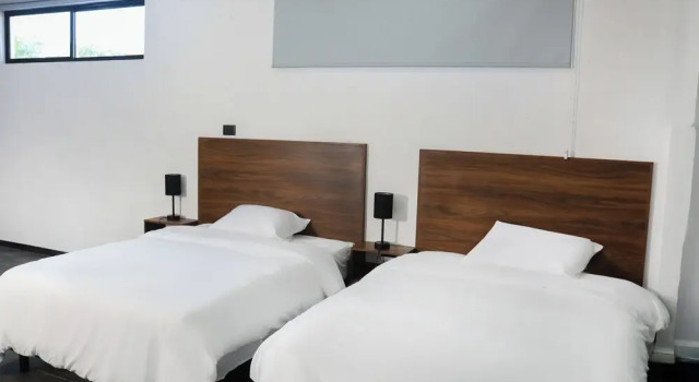 Apartamentos 31