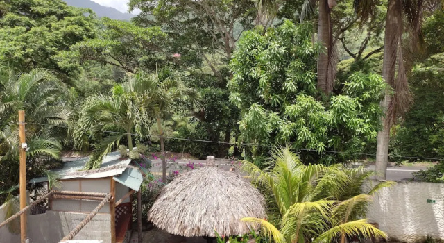 Семейный номер Standard Hotel Manakin Tayrona