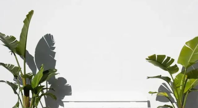 Коттедж Seaview Villa In Mongerbino by Wonderful Italy