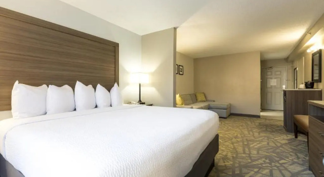 Студия La Quinta Inn & Suites by Wyndham Downtown Asheville