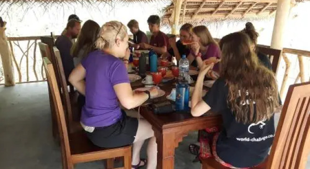 Elephant safari bungalow