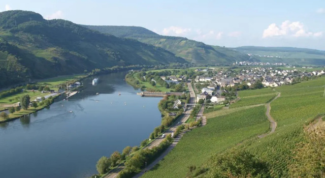 Апартаменты Weingut Gorges-Reinhard