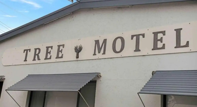 The Tree Motel, Забронировать Мотель Нарума Еврободалла