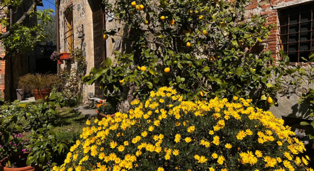 La Casina dei Frati, Reserva ahora Hotel Lucca 