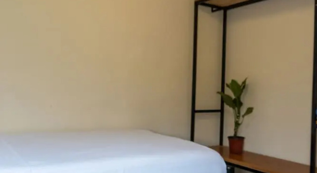 Номер Economy Wao Jungle Venao