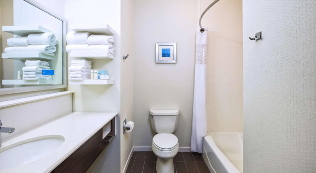Номер Standard Hampton Inn & Suites Los Alamos