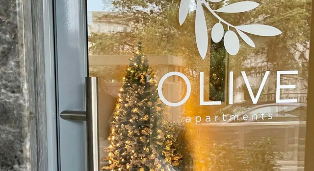 Apartment Olive 301