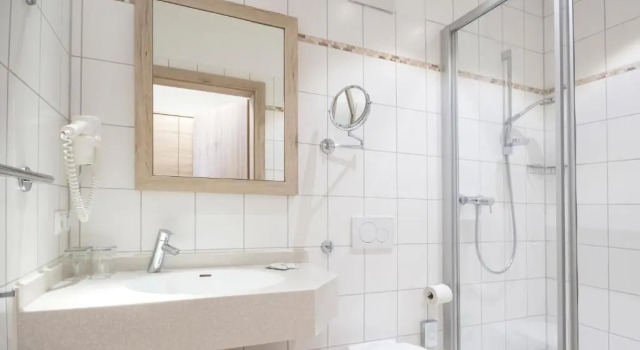 Трёхместный номер Standard Hotel Eder