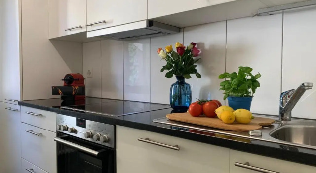 Апартаменты Modern 2 bedroom apartment close to Zurich airport