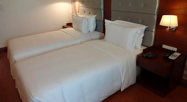 Двухместный номер Superior с видом на город Hotel Abu Palace - Chennai