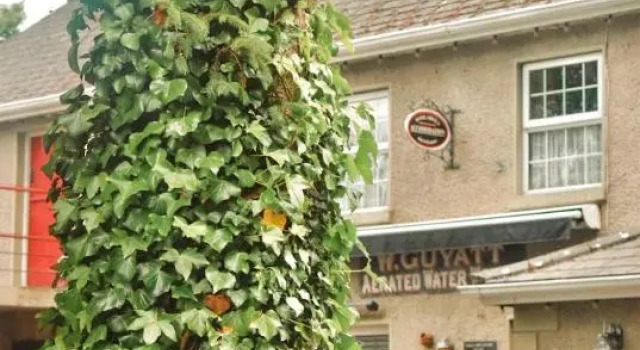 Basil Sheils B&B Accommodation Armagh, Забронировать Отель «постель и завтрак» Отели Графства Лондондерри с парковкой, Парковка