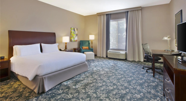 Номер Standard Hilton Garden Inn Detroit/Novi
