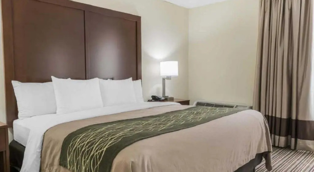Номер Standard Comfort Inn - Pocono Mountains