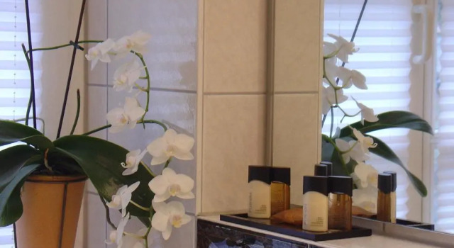 Номер Standard Hotel garni Kaiserstuhl