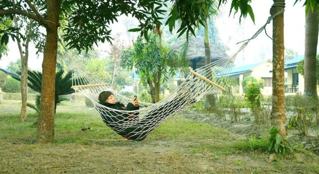 Номер Economy Nepal Wildlife Resort