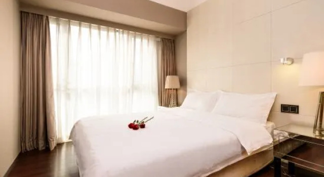 Люкс Executive Guoguo Apartment (Shenzhen Binhe Shidai)