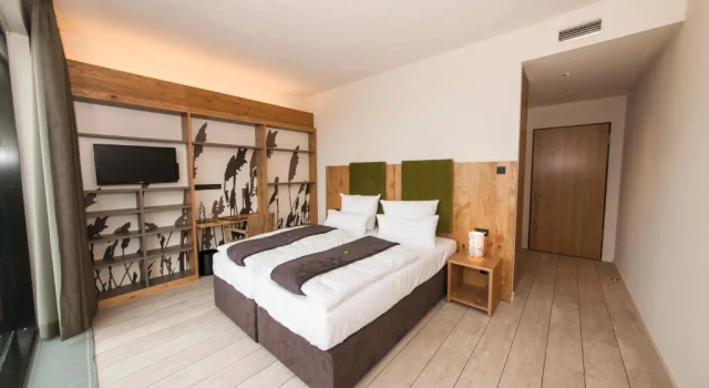 Номер Standard Panorama Hotel Aschberg