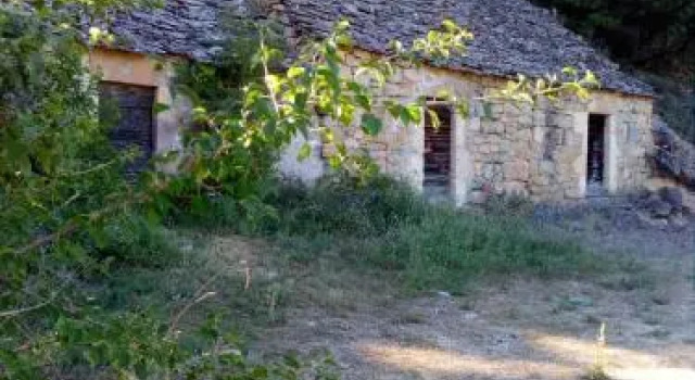 Auberge Les Cardabelles
