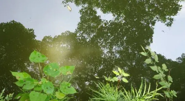 Tongli wear heart inn, Book Hotel Hoteller i Suzhou med parkering, Parkering