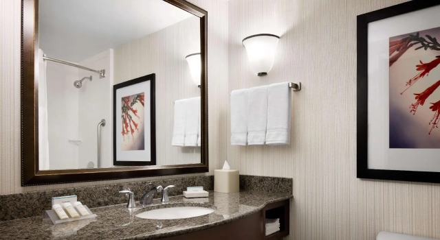 Четырёхместный номер Standard Hilton Garden Inn Denver South Park Meadows Area