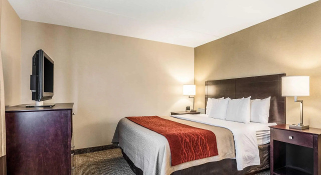 Standard Zimmer Comfort Inn