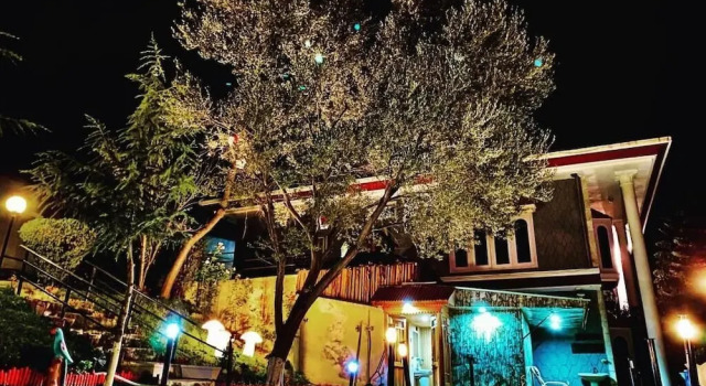 Republika Central, Rezervasyon Otel Khyber Pakhtunkhwa Province otoparklı oteller, Otopark