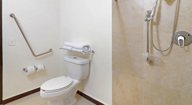Номер Standard Holiday Inn Express - Tuxpan by IHG