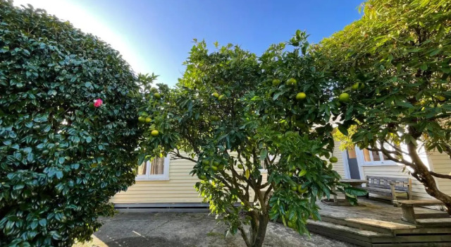 NO PARTY ALLOWED, Peaceful, Spacious, central Petone, free unlimited Fibre Wi-Fi & free parking, Rezerwuj Hotel Hotele w Auckland Region z parkingiem, Parking