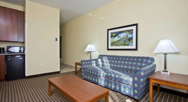Люкс c 1 комнатой Holiday Inn Express and Suites Denver East Peoria Street by IHG