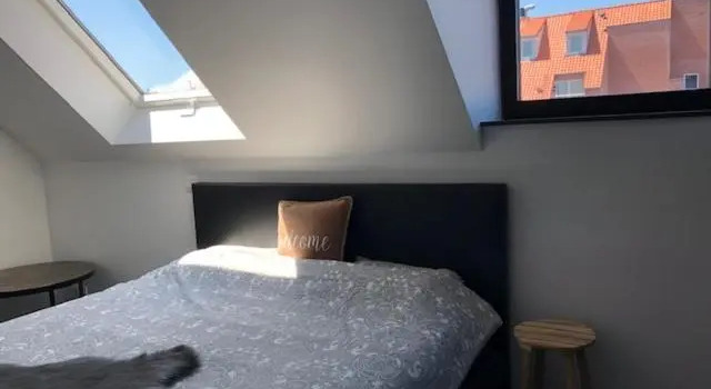 Bloc79/4, Prenota Hotel Heist 