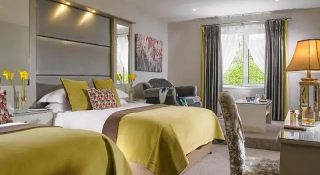 Двухместный номер Standard Fitzgeralds Woodlands House Hotel