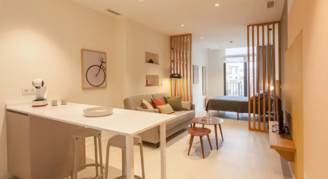 Студия с видом на город Apartamentos Málaga Premium - Calle Granada
