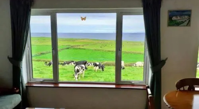 Doonbeg Holiday Homes
