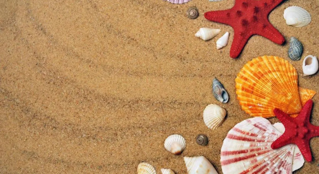 Nissi Elena - Sunshine 2 bedroom apt, Prenota Appartamento Appartamenti a Famagusta, Appartamento