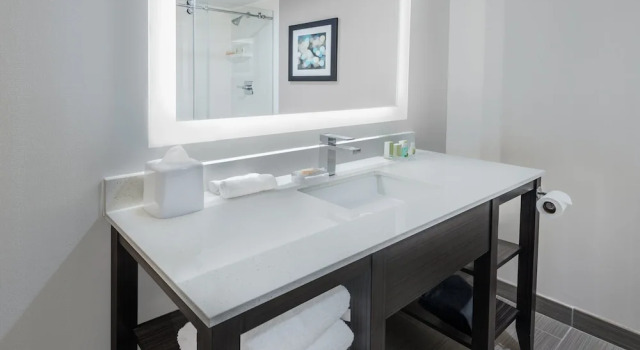 Двухместный люкс Holiday Inn - Beaumont East-Medical Ctr Area by IHG