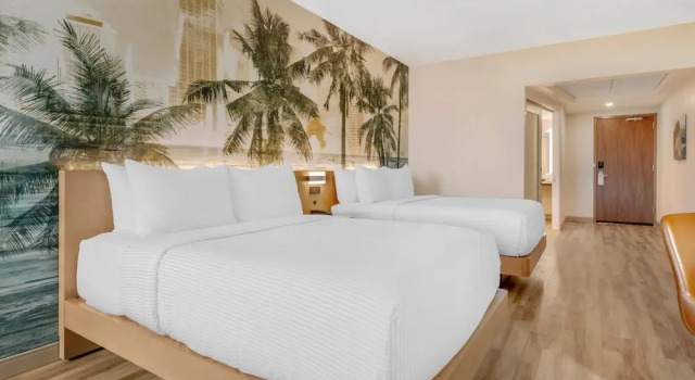 Четырёхместный номер Standard Cambria Hotel Tampa-Brandon