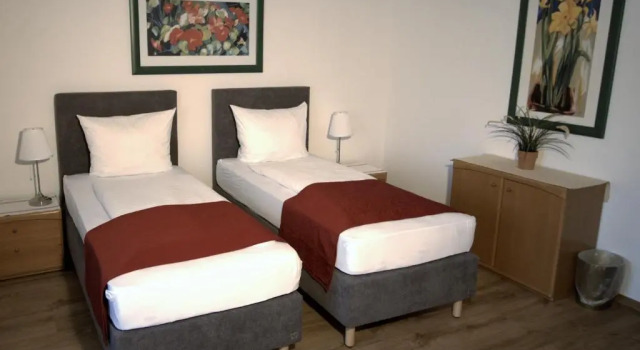 Двухместный номер Standard Hotel Leo Mühlhausen