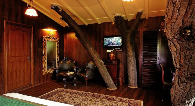 Люкс The Tree House Resort
