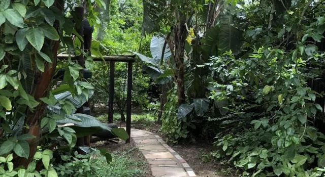 Ingwenya Lodge