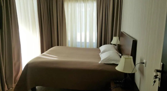 Crystal Town House, Buchen Sie Hotel SPA-Hotels in Bakuriani, SPA