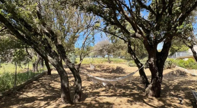 Résidence Casa Cintrone, Prenota Appartamento Hotel a Corsica con parcheggio, Parcheggio
