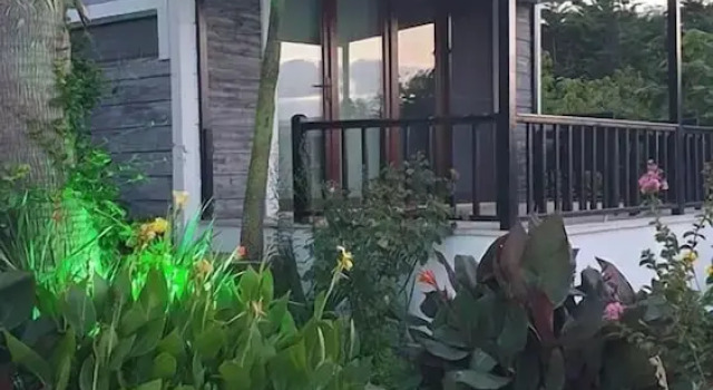 Люкс с видом на море Palm Beach Şile Villa Hotels